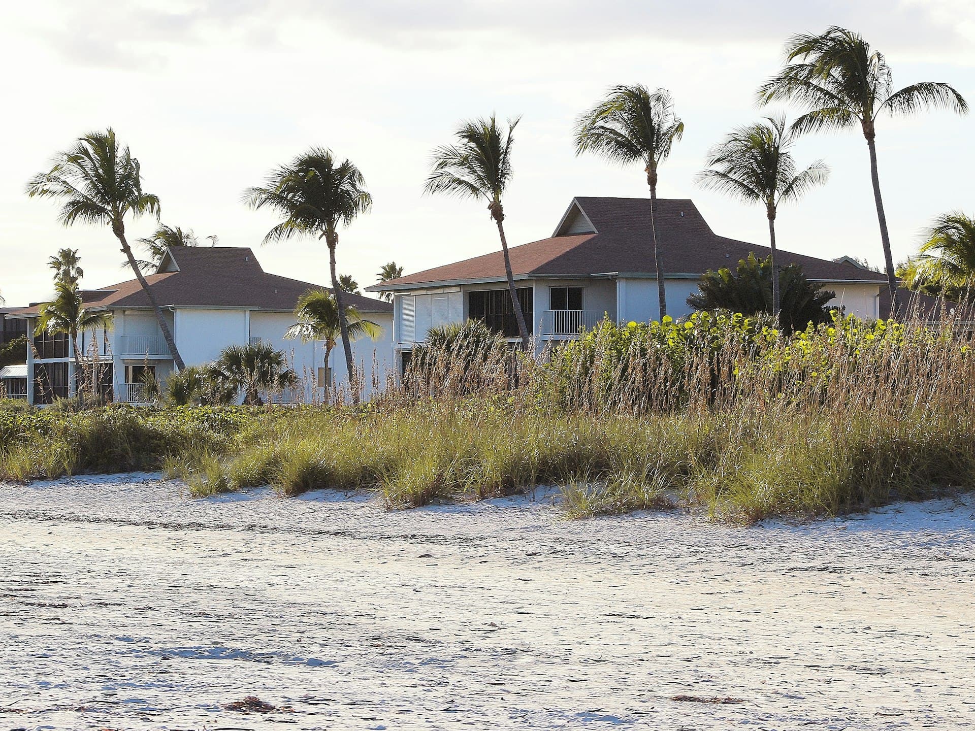 Coastal chalets among palm trees by the beach